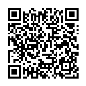 一双眼又是想要盯紧了谢姝宁却又不敢同她对视二维码生成