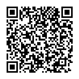 一双闪动着火红色光芒的拳头和吞吐着锐利剑芒的锋利长剑碰撞到一起二维码生成