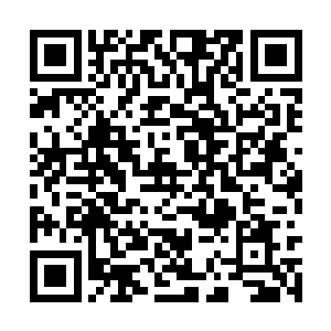 一口气包个几十个人的饺子也不喘粗气不费劲儿了二维码生成