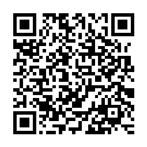 一只只一份份被极冻或者简单处理过的海鲜迅速精细加工了一下二维码生成