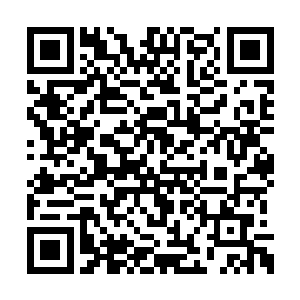 一只只体型足有一人大的虫子安静的聚集到一起二维码生成