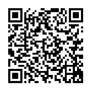 一只浑身油光水滑一尺多长的肥大老鼠就窜着跳到了张铁的脚边二维码生成