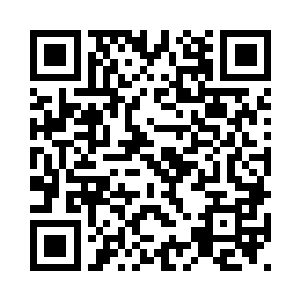 一只禽鸟出现在了叶然的视线当中二维码生成