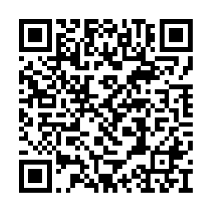 一只足有其他甲虫十倍大的青翅大甲虫悬在半空二维码生成