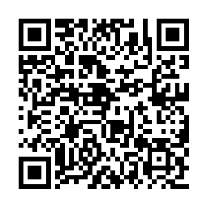 一号矿区和二号矿区的护卫队完成了整编和扩充二维码生成