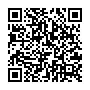 一名白衣老者一脸平静之色的望着身旁一名少年说道二维码生成