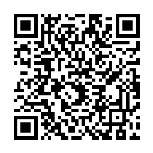 一团白色的气团从仙帝的手中向着离天界主的方向激射而出二维码生成