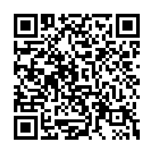 一场烈度无法估量的特大地震再次袭击了江户湾二维码生成