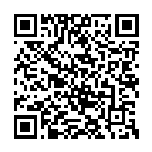 一声声追上来看叶楚追杀石林族强者的人都惊呼二维码生成