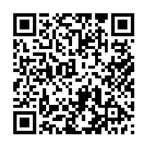 一天说米高梅高层亲自前往奋进精英经纪公司商谈二维码生成