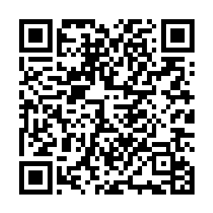 一定要趁着龙灵风炼化摩柯塔的时候偷袭黄金圣龙种族二维码生成