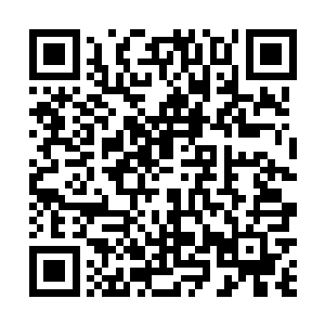 一家跨国拍卖会拍出了一副由极品红翡制成的血玉手镯二维码生成