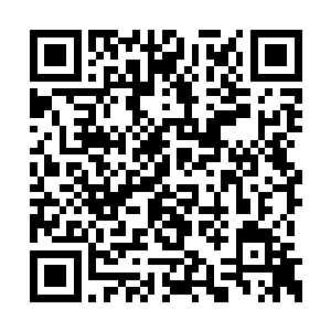 一尊尊六道神祗的虚影全部都袭进了叶莫那一枪二维码生成