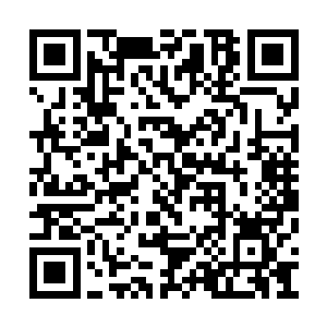 一座无人的小岛就这样子吸食灵泉中的灵气壮大二维码生成