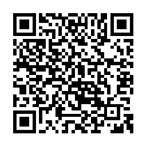 一想起解家出了他们这两个可以光耀门庭的后生二维码生成