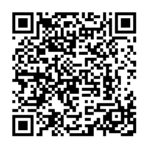 一手拿着虽然不重却很占地方的藤条快速跑回来他特意留下了一滩血的地方二维码生成