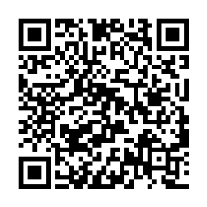 一把又厚又密的青丝便安安稳稳地躺在了他的掌心里二维码生成