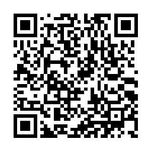 一支完整的蛟王龙角至少可以换一架翰林文宝琴二维码生成