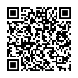 一支金黄色的小鸟不知道从什么地方飞入了皇家陵园二维码生成