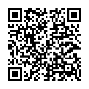 一旁的一名极为妩媚的狐族少女靠在洪大力身边二维码生成