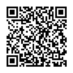 一旁的狮驼王和狱狨王也都各自掏出了一片在微微闪烁的玉简二维码生成