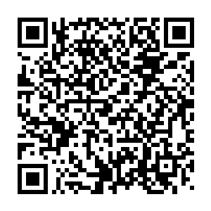 一旦秦宇活着从君王殿走出来那他风龙族也将会迎来秦宇疯狂的报复二维码生成