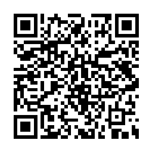 一时间各种恐怖的能量波动混合着丹香传递出来二维码生成