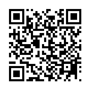 一时间张大麻有种反应不过来的节奏二维码生成