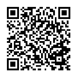 一时间被他们给活生生砸死了好几个通玄中期境界以下的修士二维码生成