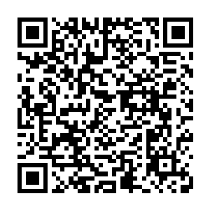 一条浑身缭绕着一种幽蓝色火焰的类似蛇一样的生物出现在李锐的丹田内二维码生成