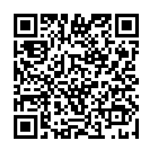 一条鹅卵石小径穿过竹林连接着竹轩和后山其他地方二维码生成