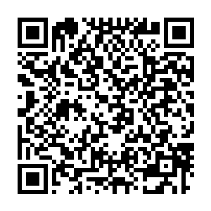 一直以来贝海都没有发现岛上除了疤脸两口子还有其它狐狸活动的迹象二维码生成