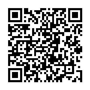 一直到丁长生磨磨蹭蹭的将自己的手机号码写全了才松开她二维码生成