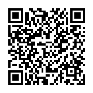一直到能够彻底压制这个浩劫裂缝的混沌兽才能够离开二维码生成