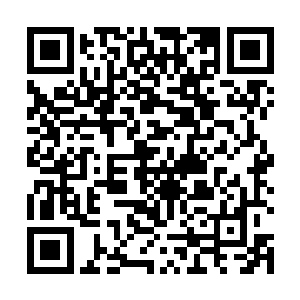 一直到追击史蒂夫的那些战机都纷纷撞上了关闭的大门二维码生成