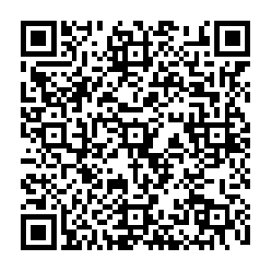一直在做跟踪分析的心理学教苏洛教授将一份完整的报告递交给了坐在主位的杨上将二维码生成