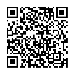 一直在近前紧张而恭敬的众宠却是集体惨叫起来~二维码生成