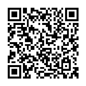 一直在门口偷听的张奶奶冲进来就敲了张鹏一下二维码生成