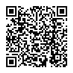 一直安安稳稳呆在张萧晗怀里的小松鼠忽然间扒着张萧晗的衣襟露出头来二维码生成