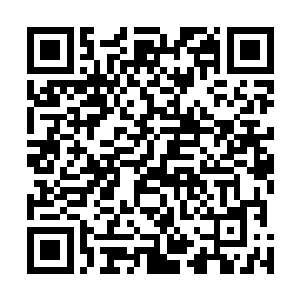 一直站在许紫烟身边的两个人脸含嘲笑地给许紫烟松了绑二维码生成
