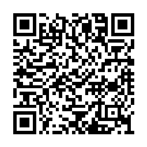 一直端坐不动如山的欧阳兄弟二人也是身形飘忽二维码生成