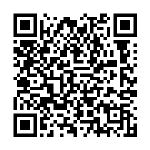 一直被笼罩在对方掌心之下的杨开也身形一阵模糊二维码生成