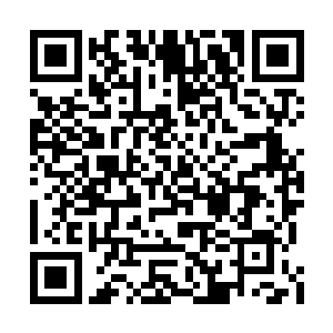 一直都在躲躲藏藏的害怕被前面那三个女孩发现二维码生成