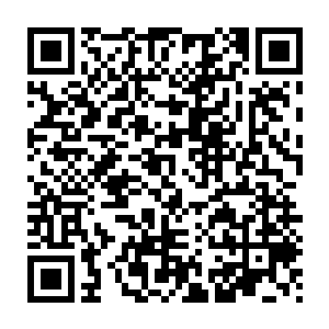 一直都担心力莲这样的性格在成为别人的伴侣之后会有各种各样的麻烦二维码生成