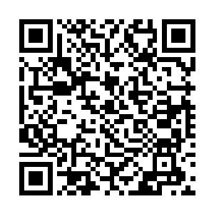 一直都是在督促着这件事情的孙丽莎知晓了这个事情二维码生成