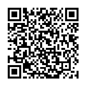 一直都没有怎么说话的玄牝道尊执念突然在他心头道二维码生成