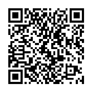 一眼望不到边……虽说每两个士兵之间都隔了十几米的距离二维码生成