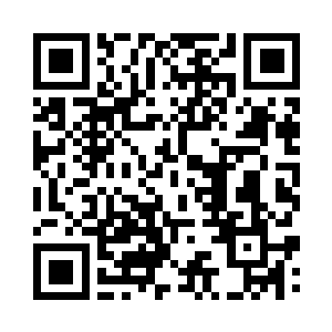 一群白色的东西正在迷雾中快速翱翔二维码生成