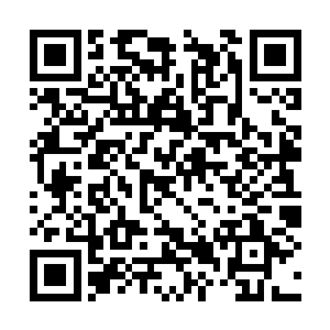 一群的师兄弟气息也出现在了我们的侦查范围之中二维码生成