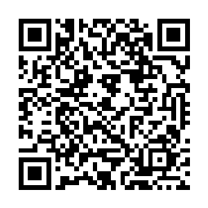 一群身穿星光衣的锦袍修者正自追杀着一个散修联盟二维码生成